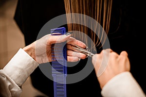 Hands of hairdresser with comb and scissors in process of gently haircut health female hair in salon.