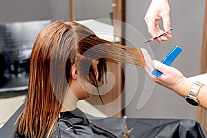 Hairdresser cuts hair of woman