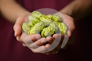 Hands and Heap Fresh Green Hops
