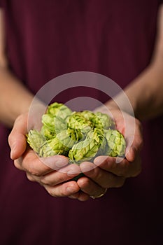 Hands and Heap Fresh Green Hops