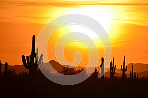 Hands Held to Heaven, Sun God Sets, Sonoran Desert: Valley of the Sun