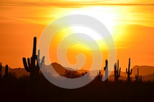 Hands Held to Heaven, Sun God Sets, Sonoran Desert: Valley of the Sun photo