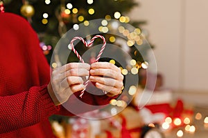 Hands hold Christmas candy with your heart in front of the Christmas tree.