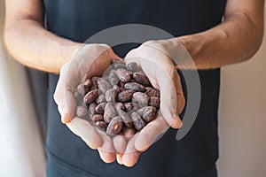 Hands hold cocoa beans