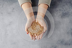 hands hold grains of malt on gray background