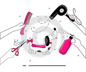 Hands hold grooming tools for dog`s fur and hair care.Vector set in doodle style.Glamour vet equipment.Combing and washing.