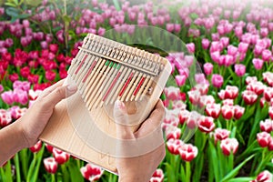 Hands hold and play Kalimba  Mbira or thumb piano  .