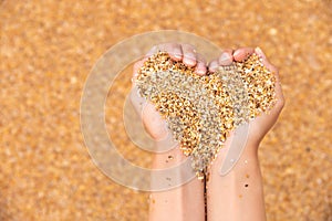 Hands hold sand in the shape of a heart. Close-up of woman's hands holding sand on the beach