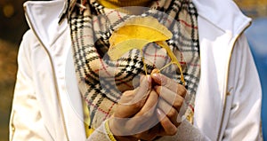 Hands holding autumn leaves