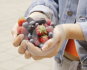 Hands Holding Berries