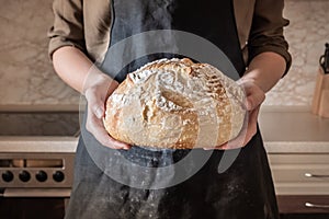 Hands holding big loaf of white bread. Female in black apron in