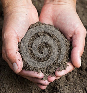 Hands holding black soil. Close-up