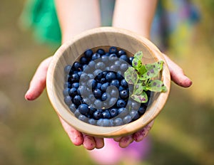 Hands holding blueberries