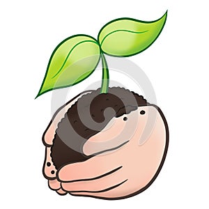 Hands Holding A Bright Young Sapling