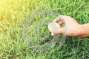 Hands holding brown egg on grass background