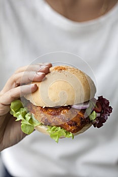 Hands holding chicken burger