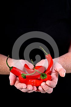 Hands holding chilli peppers