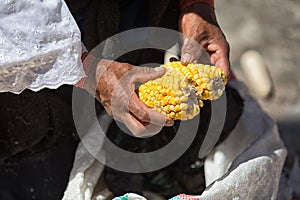 Hands holding corn in Ecuador