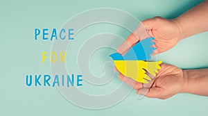Hands holding dove in the colors of the ukrainian flag, war with Russia, peace for Ukraine