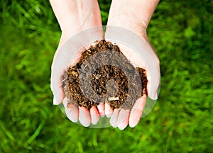 Hands holding an earth heart on natural green background. Ecolog