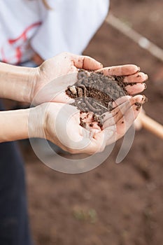 Hands holding earthworm