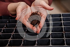 Hands holding fresh home made compost soil. Soil and hand. Hand pouring soil checking quality prepare growing seedling