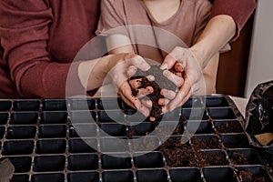 Hands holding fresh home made compost soil. Soil and hand. Hand pouring soil checking quality prepare growing seedling