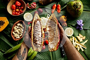 Hands holding freshly opened cacao fruit with its flesh visible and variety of jungle