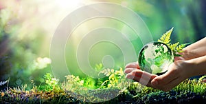 Hands Holding Globe Glass In Green Forest