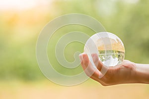 Hands Holding Globe Glass In Green Forest