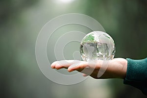 Hands Holding Globe Glass In Green Forest. Forest conservation concept. Environment Concept. elements of this image furnished by