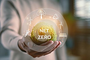 Hands holding a globe with 