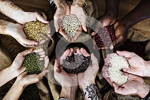 Hands holding grains and photoshooting