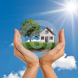 Hands holding grass patch in front of house and tree under sunny sky.