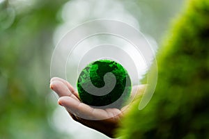 Hands holding green globe in green forest. Forest conservation concept. Environment concept. Elements of this image furnished by