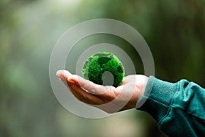 Hands holding green globe in green forest. Forest conservation concept. Environment concept. Elements of this image furnished by