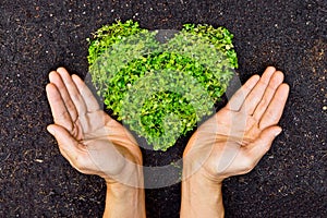 Mani possesso verde cuore a forma di un albero 