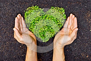 Mani possesso verde cuore a forma di un albero 