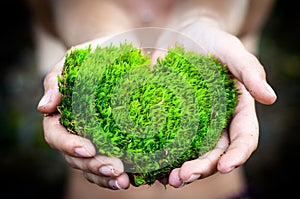 Hands holding green heart shaped tree love nature save the world heal the world environmental preservation