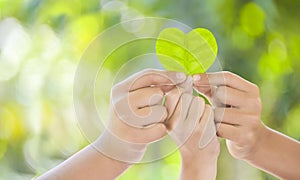 Hands holding green heart shaped tree and planting trees, loving the environment and protecting nature Nourishing the plants World photo