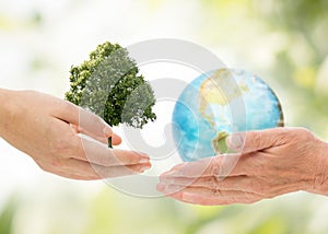 Hands holding green oak tree and earth planet