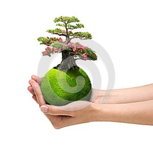 Hands holding green planet
