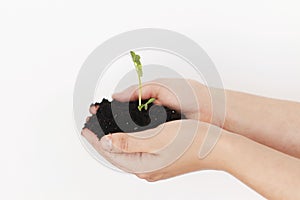 Hands holding ground with green fresh sprout on white background. Earth day concept. Save planet