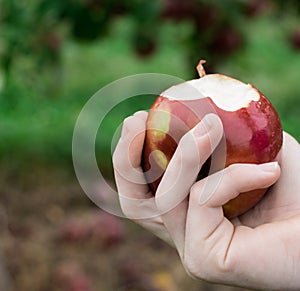 Hands holding a macintosh apple