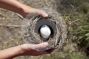 Hands holding nest with egg.