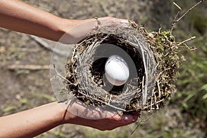 Hands holding nest with egg.