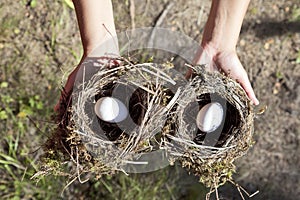 Hands holding nest with egg.