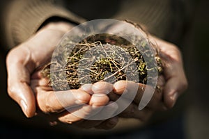 Hands holding a nest