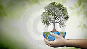 Hands holding an oak tree planted on a globe. Sustainability concept. 3D illustration