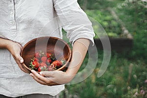 Hands holding organic strawberries in bowl from raised garden bed. Homestead lifestyle. Gathering homegrown berries from community